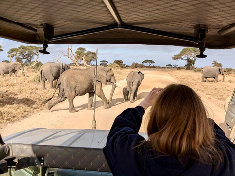 BUSH MOSAIC SAFARIS-内罗毕必去景点