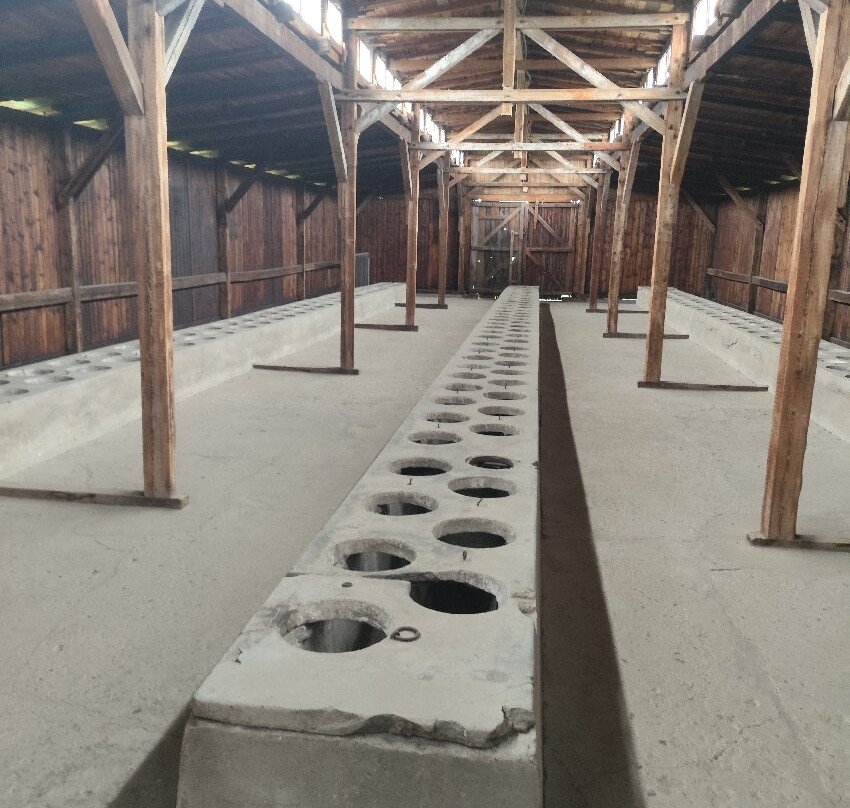 TEA Time Brewpub-克拉科夫必去景点