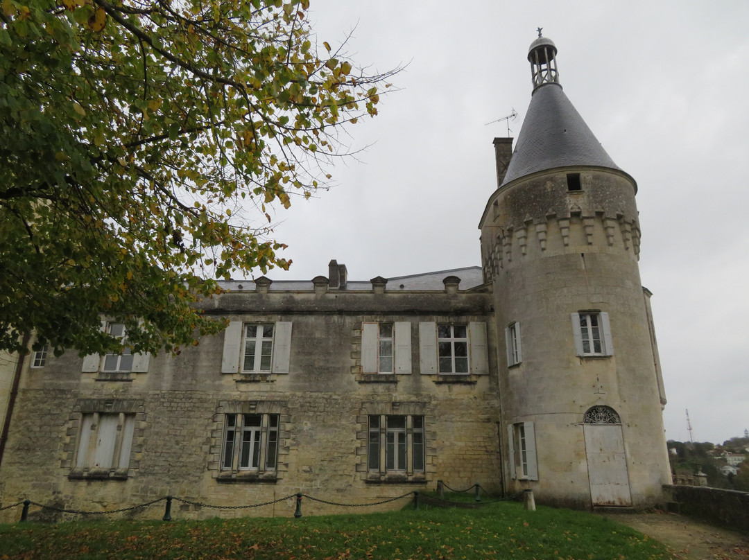 Chateau de Jonzac景点图片