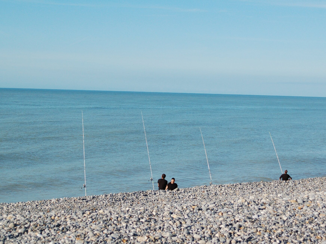Camping-car Aire - Cayeux Sur Mer