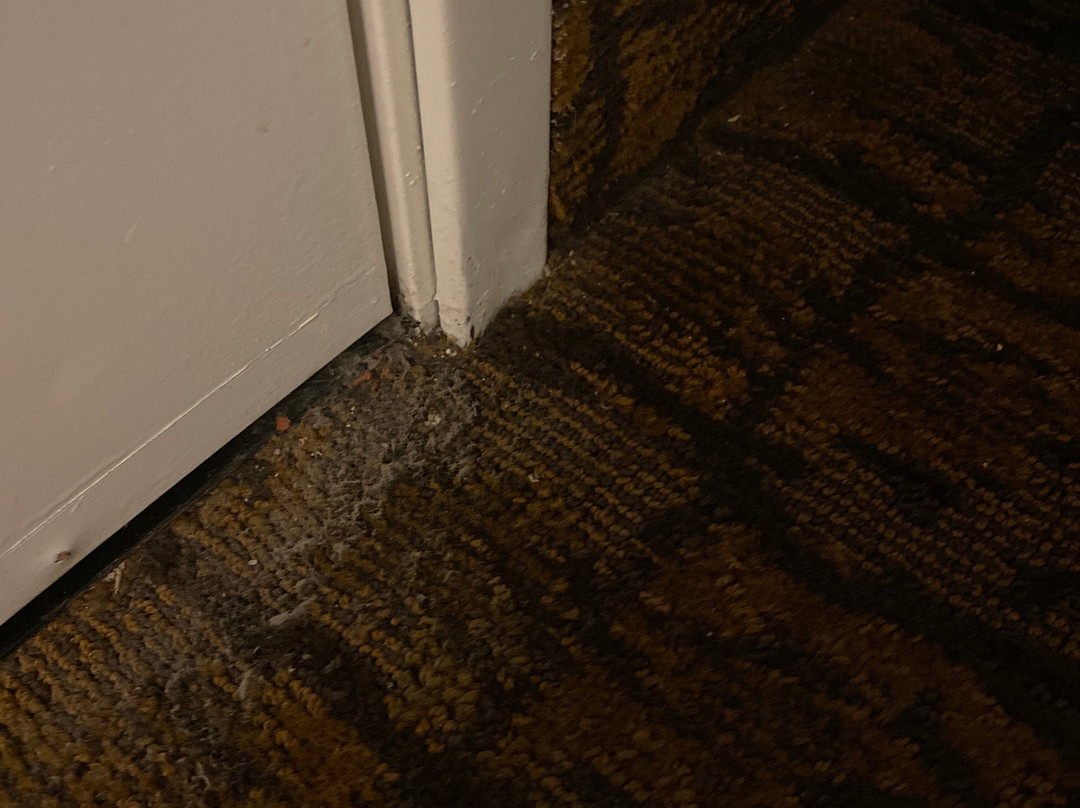 Best Western Escondido Hotel主图