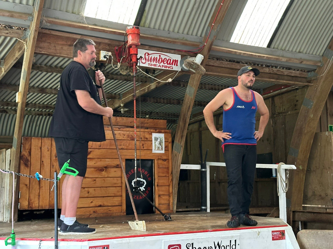 Sheepworld Farm Park-瓦卡沃夫必去景点