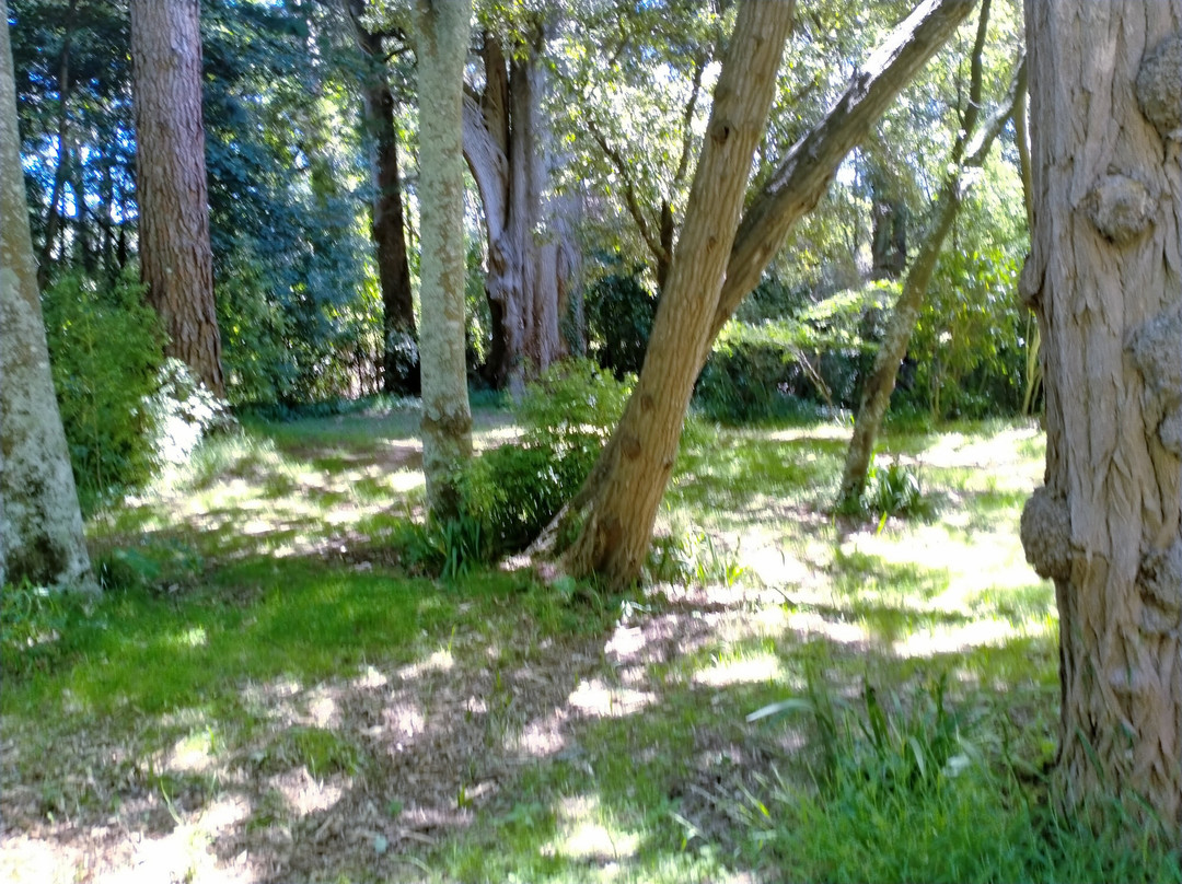 Orton Bradley Park-南岛必去景点