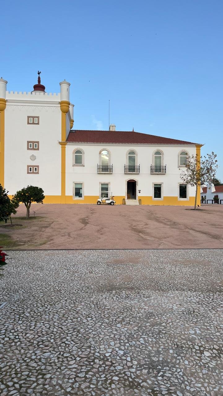 Torre de Palma Wine Hotel-浴室