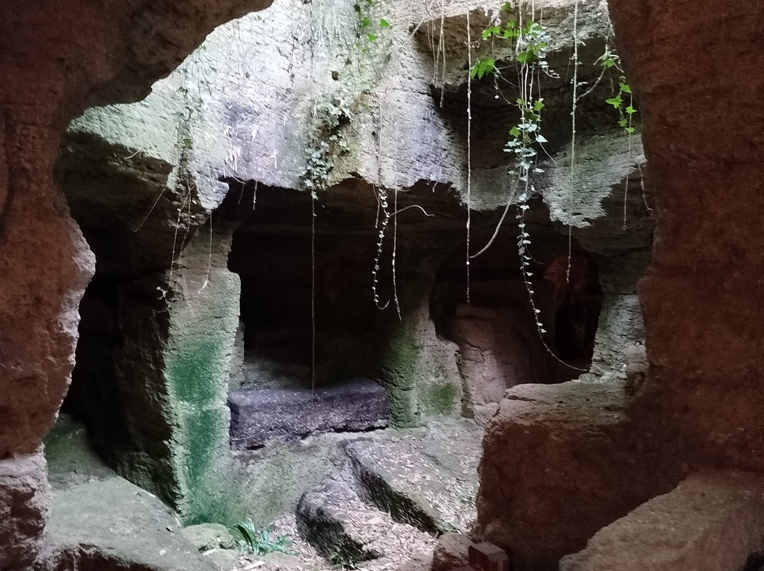 Troglodytes & Sarcophages景点图片