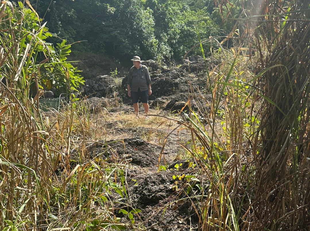 Toro Negro State Forest-波多黎各必去景点