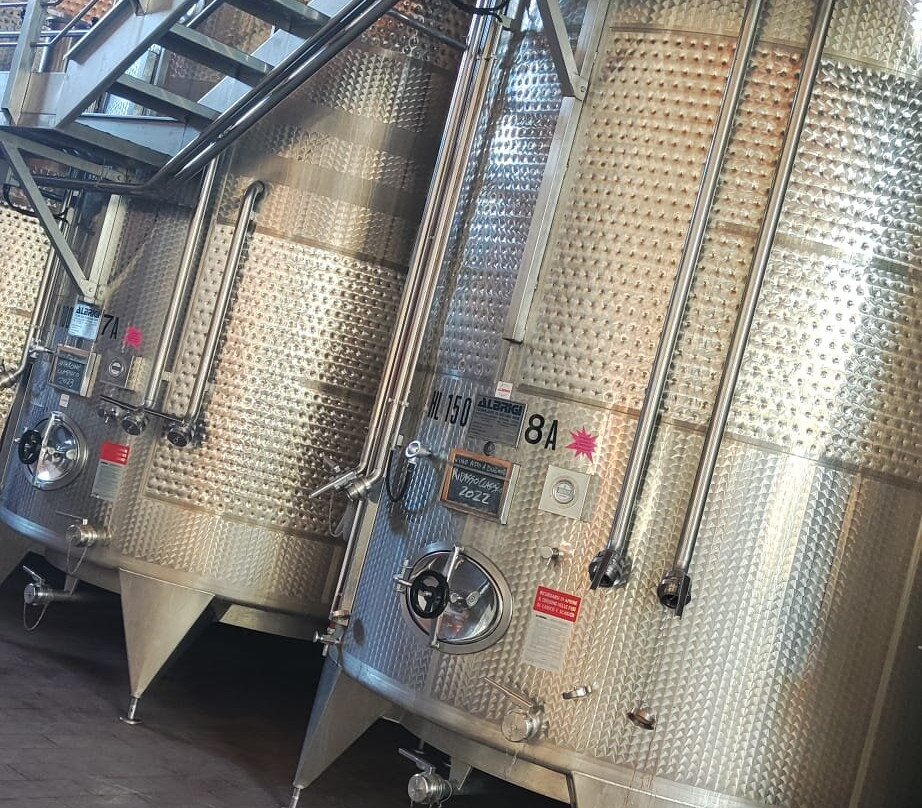 Azienda Agricola Valentina Cubi景点图片