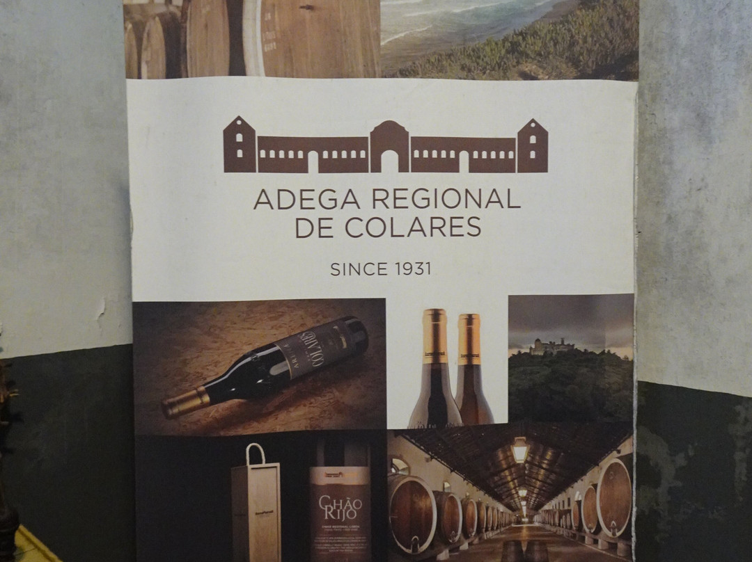 Adega Regional de Colares景点图片