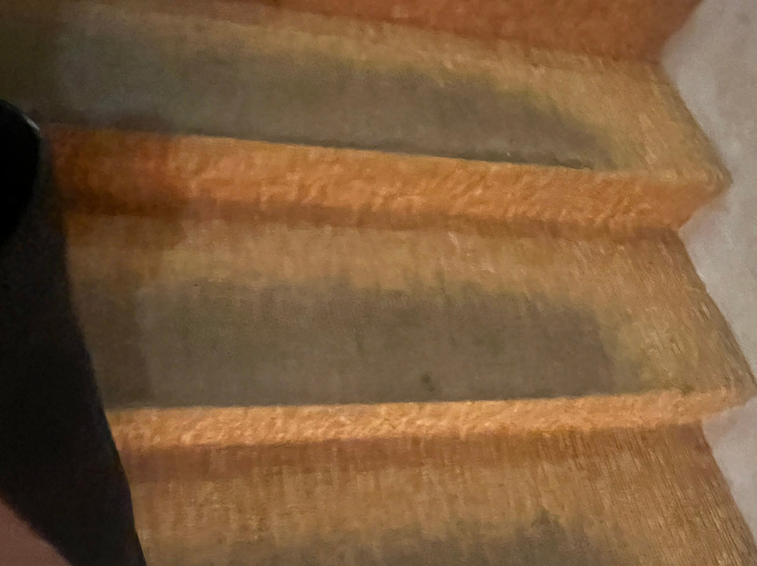 Cinepolis Luxury Cinemas Laguna Niguel-拉古纳尼格必去景点