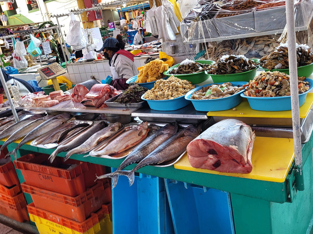 Mercado San Camilo-阿雷基帕必去景点