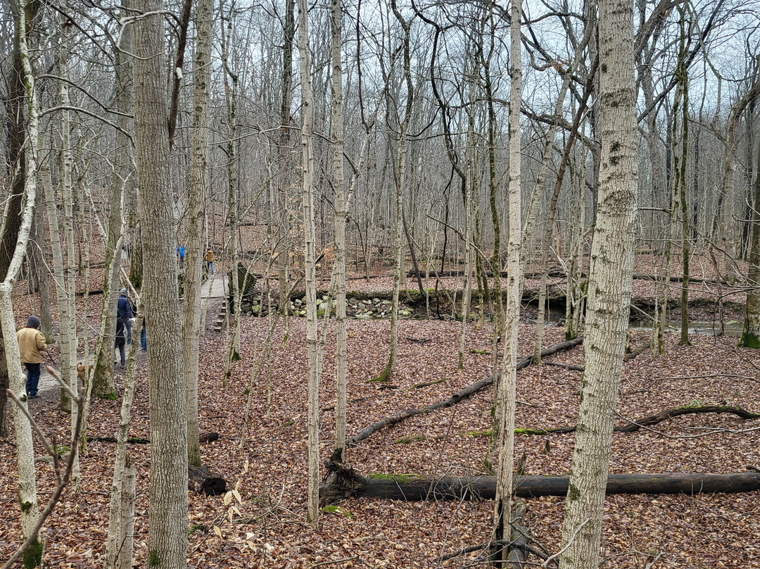 Char-mar Ridge Park-韦斯特维尔必去景点