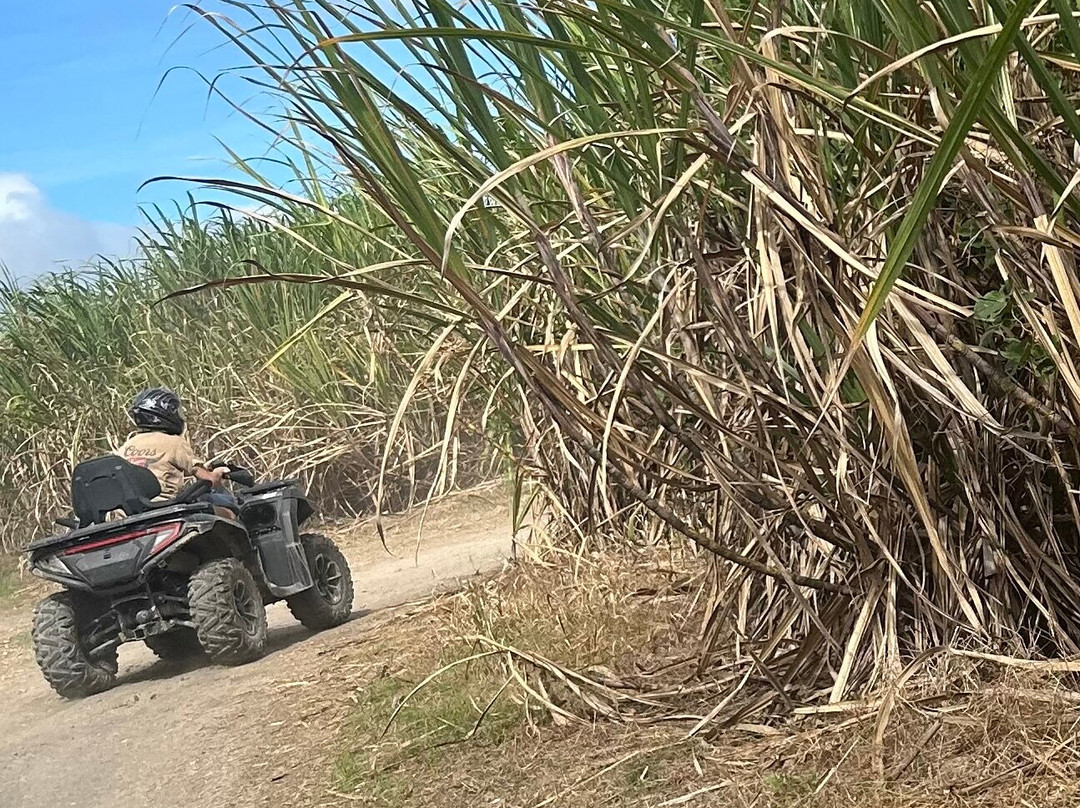 Off Road Fury Barbados-布里奇顿必去景点