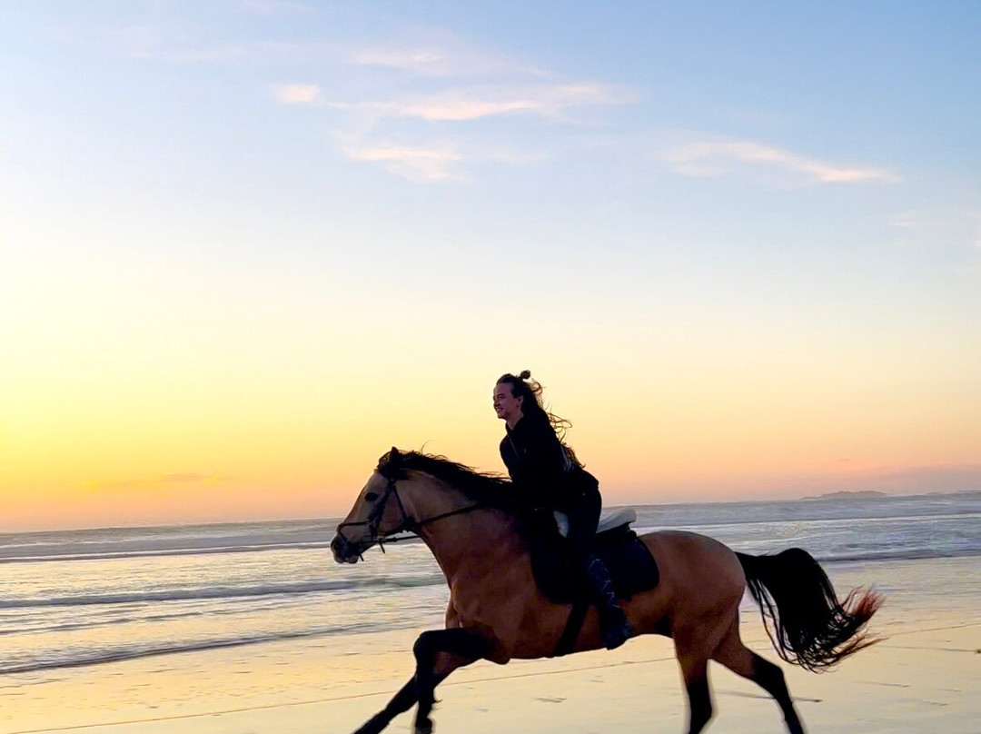 Horse Adventure Essaouira-Diabat必去景点