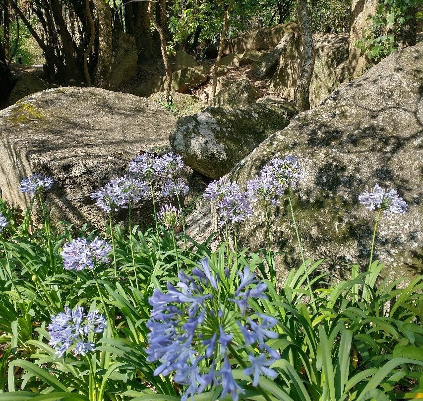 Cachoeira Caceia-Mairipora必去景点