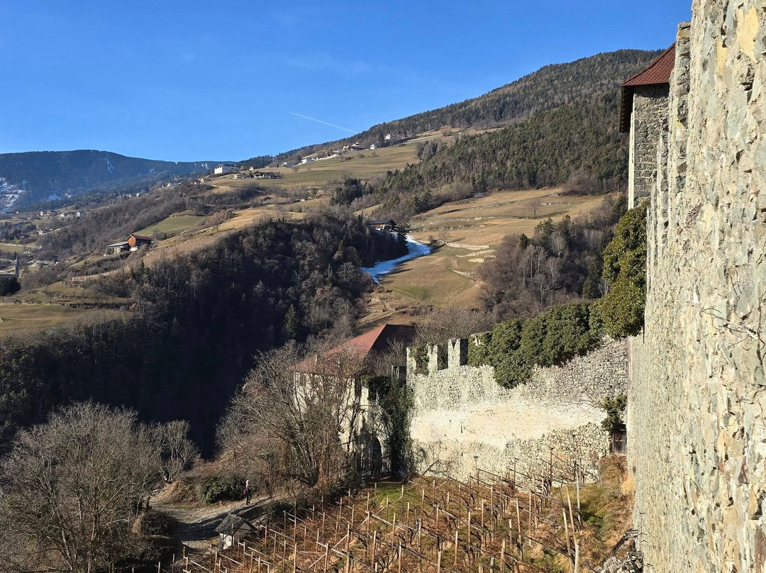 Sonnenhotel Adler主图