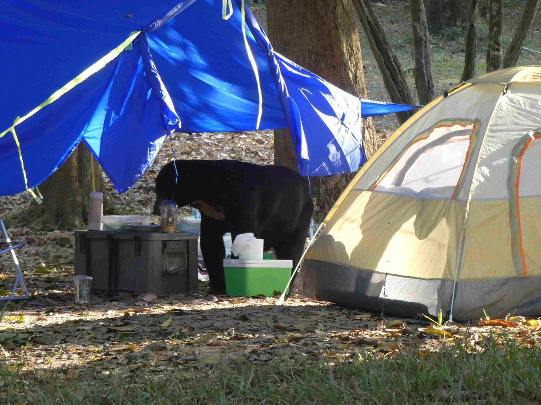 岗卡章国家公园-七岩必去景点