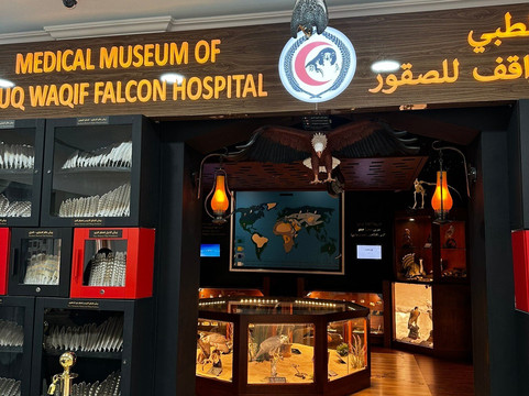 2025年2月Souq Waqif Falcon Hospital景点攻略-Souq Waqif Falcon Hospital门票预订|地址 ...