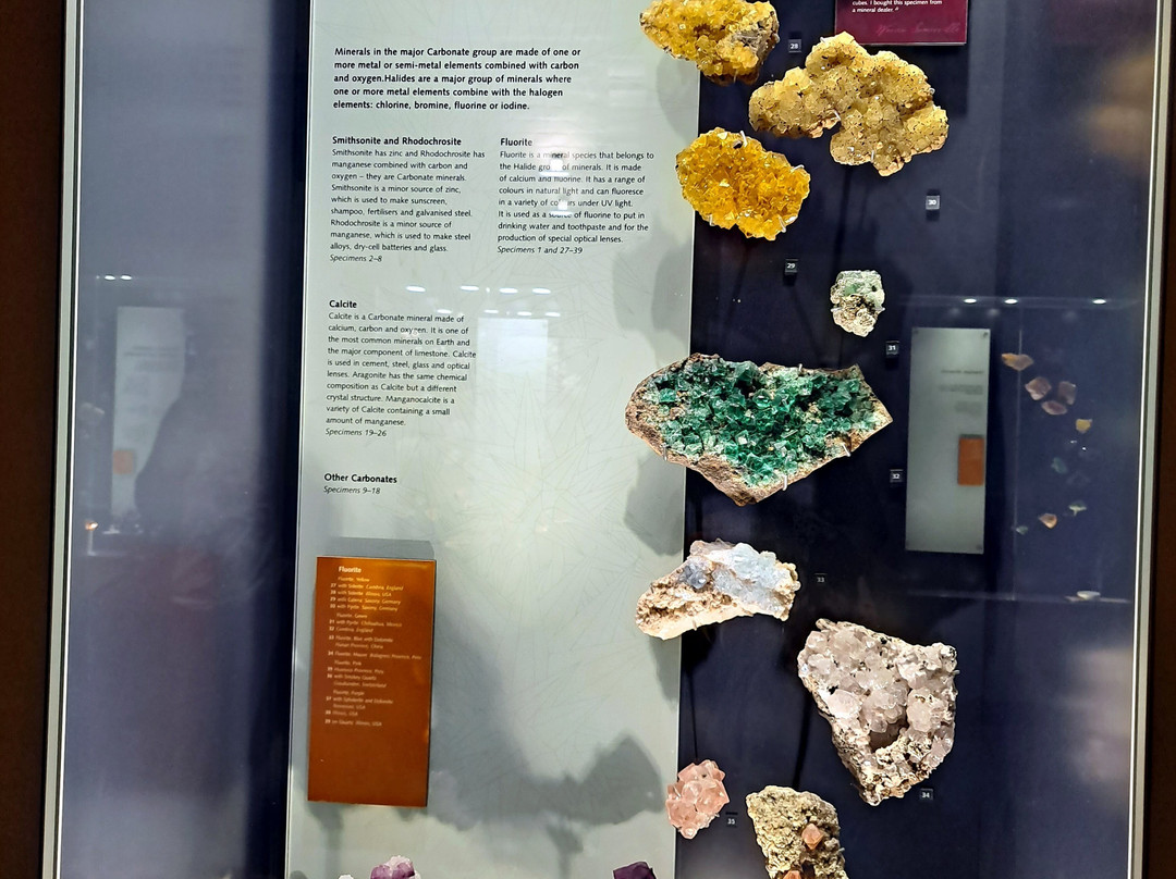 Australian Fossil and Mineral Museum景点图片