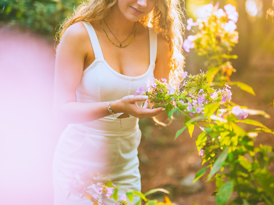Davis Arboretum-奥本必去景点