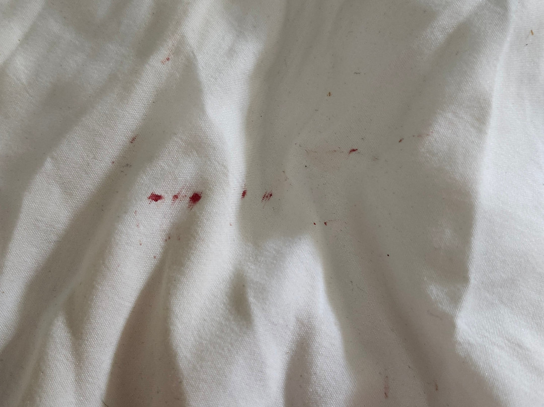 温德姆速8酒店奥马哈I-80西主图