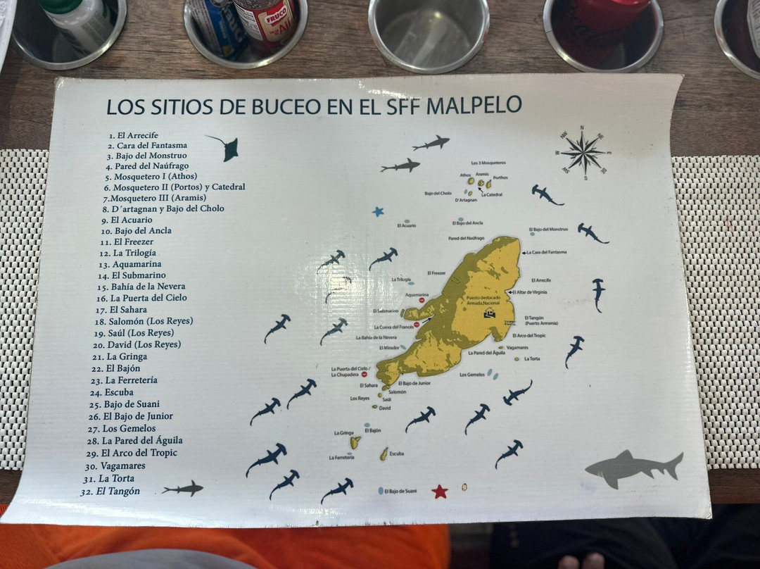 Malpelo Tours-Malpelo Island必去景点