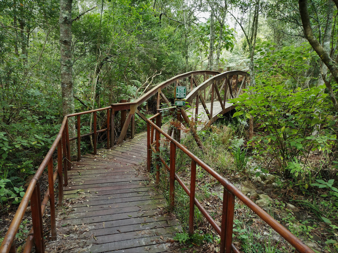 Garden Route Botanical Garden-乔治必去景点