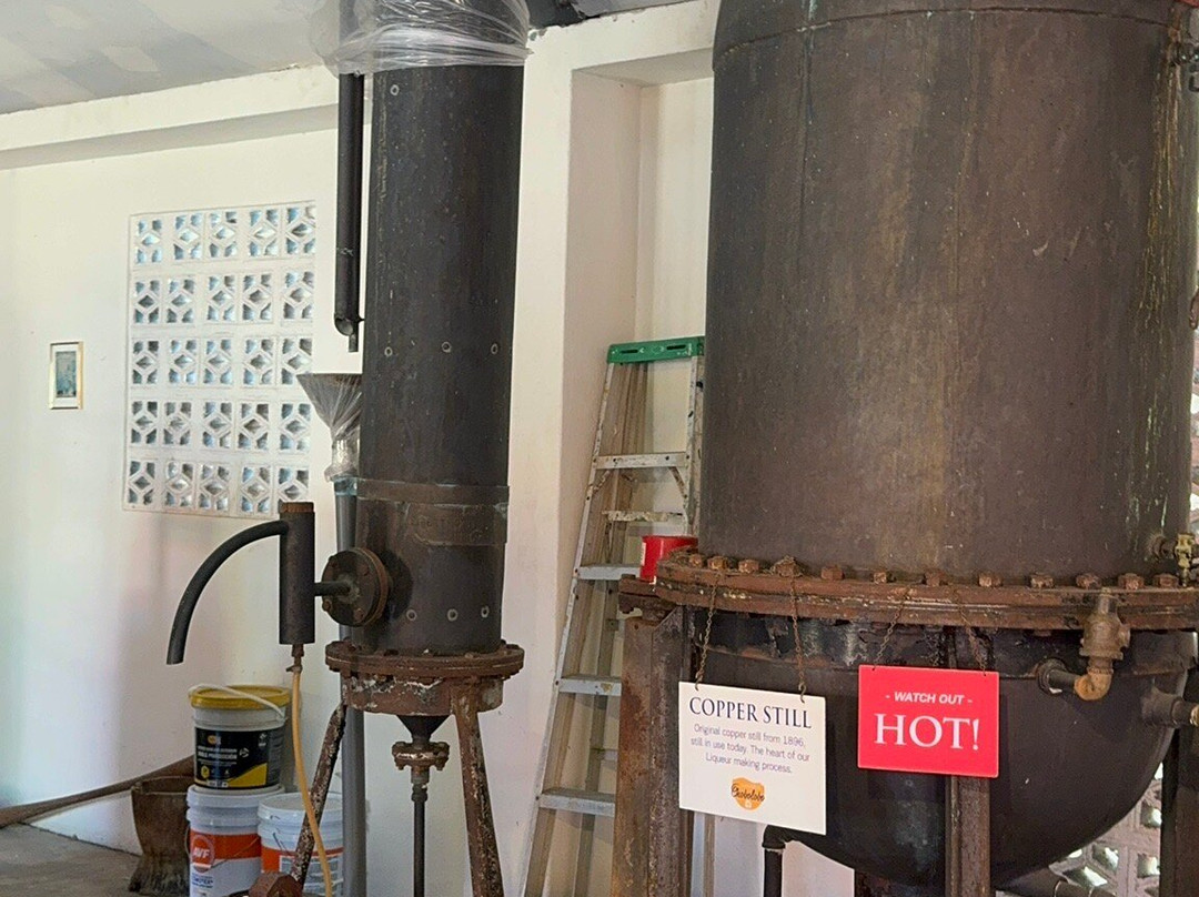 Aida Travel Services-威廉斯塔德必去景点