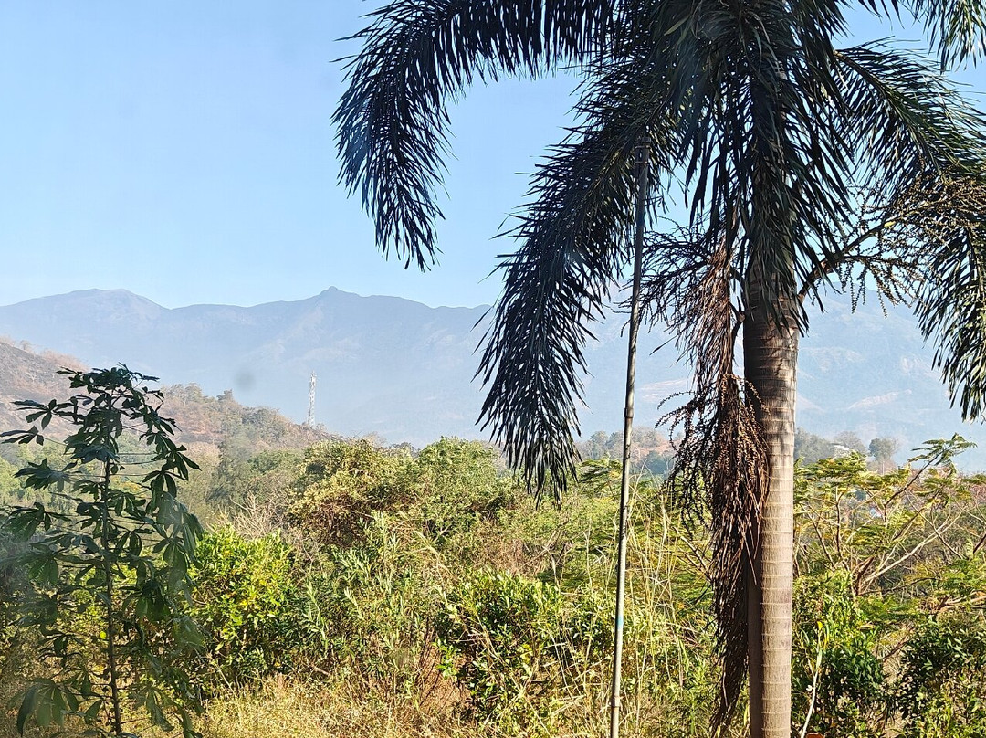 KTDC Garden House Malampuzha Dam主图