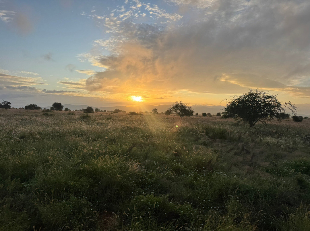 KingTomondo Safaris Kenya景点图片