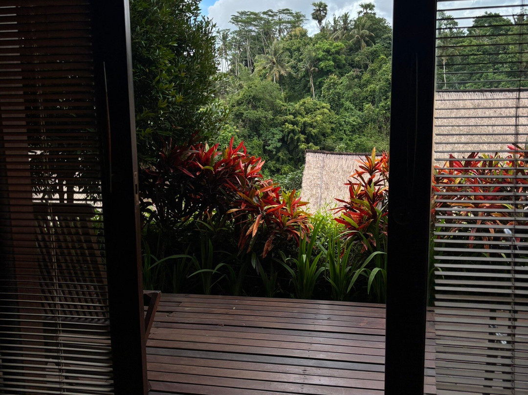 巴厘玛萨里水疗别墅主图