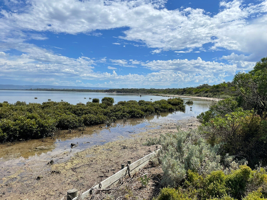 Old Port Walking Trail-Port Albert必去景点