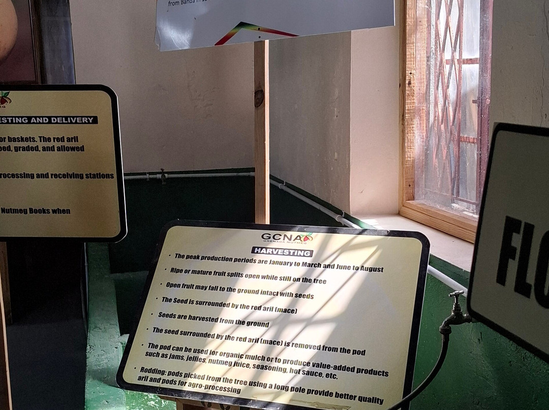 Grenada Co-Operative Nutmeg Association-格林纳达必去景点