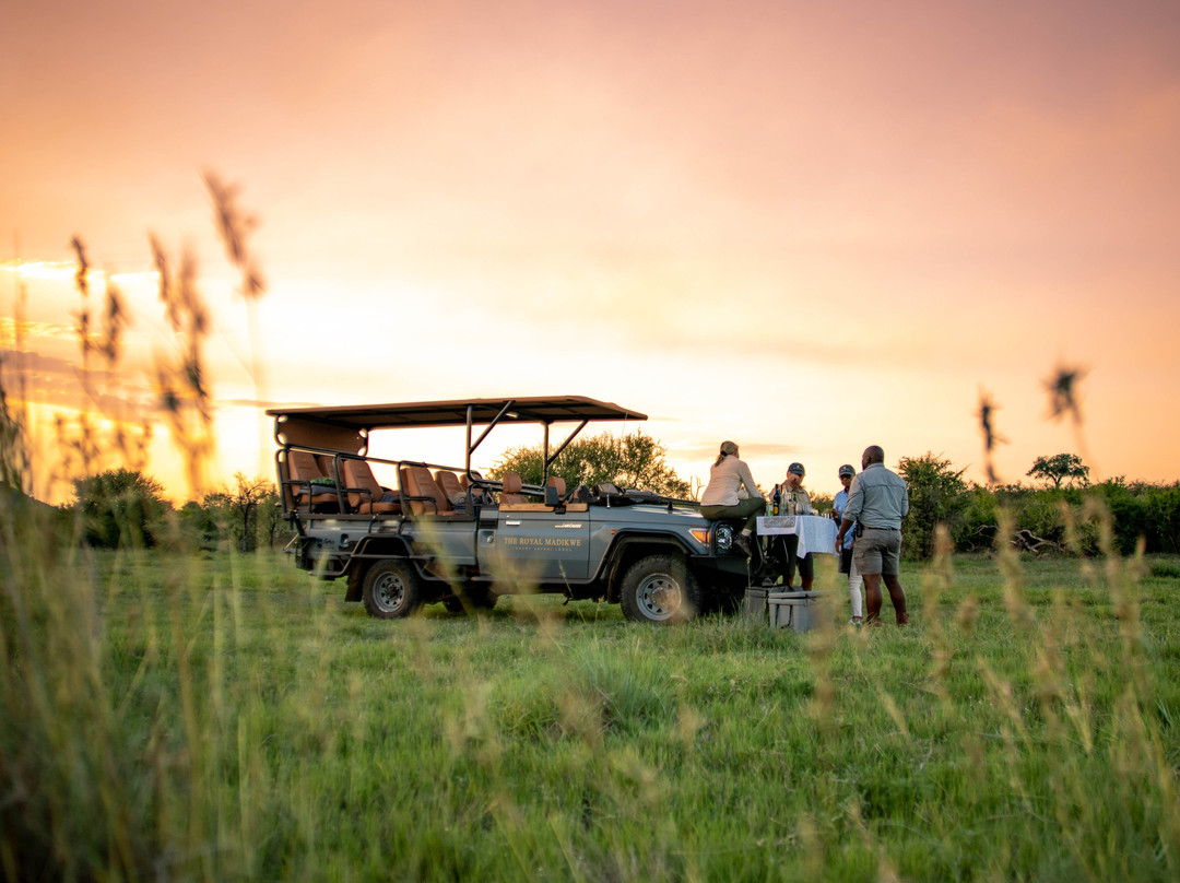 Royal Madikwe Luxury Safari Lodge