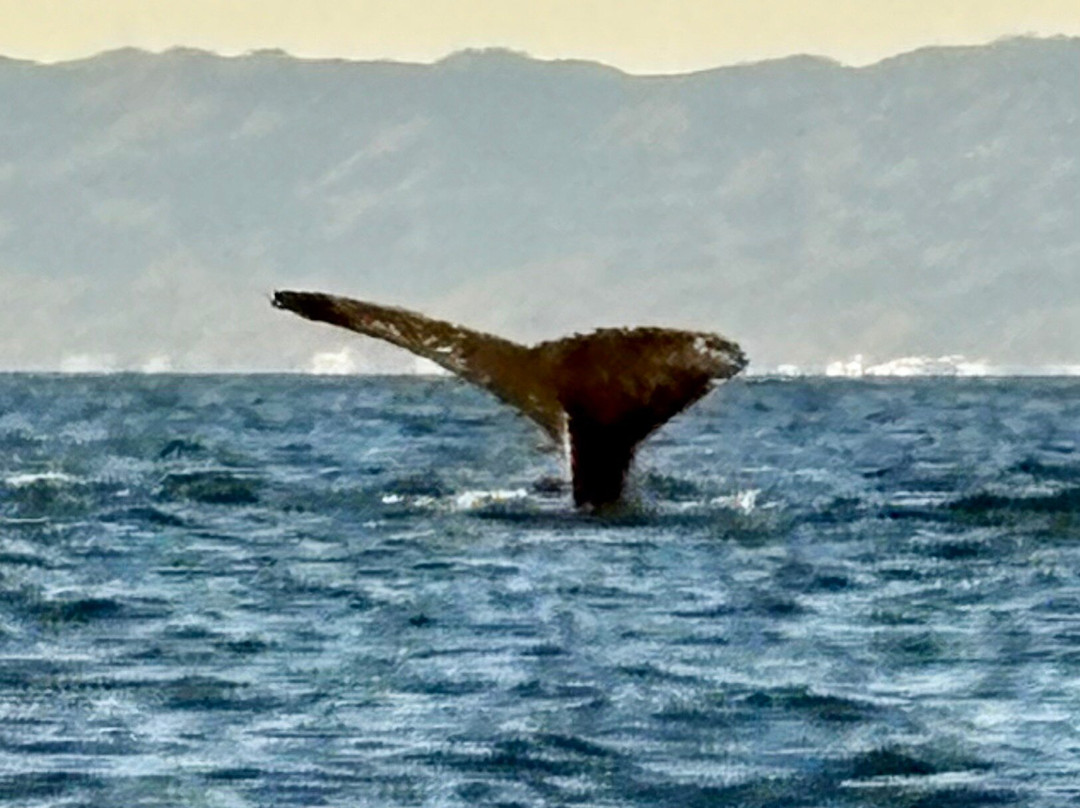 Adventure Lovers PV-瓦拉塔港必去景点