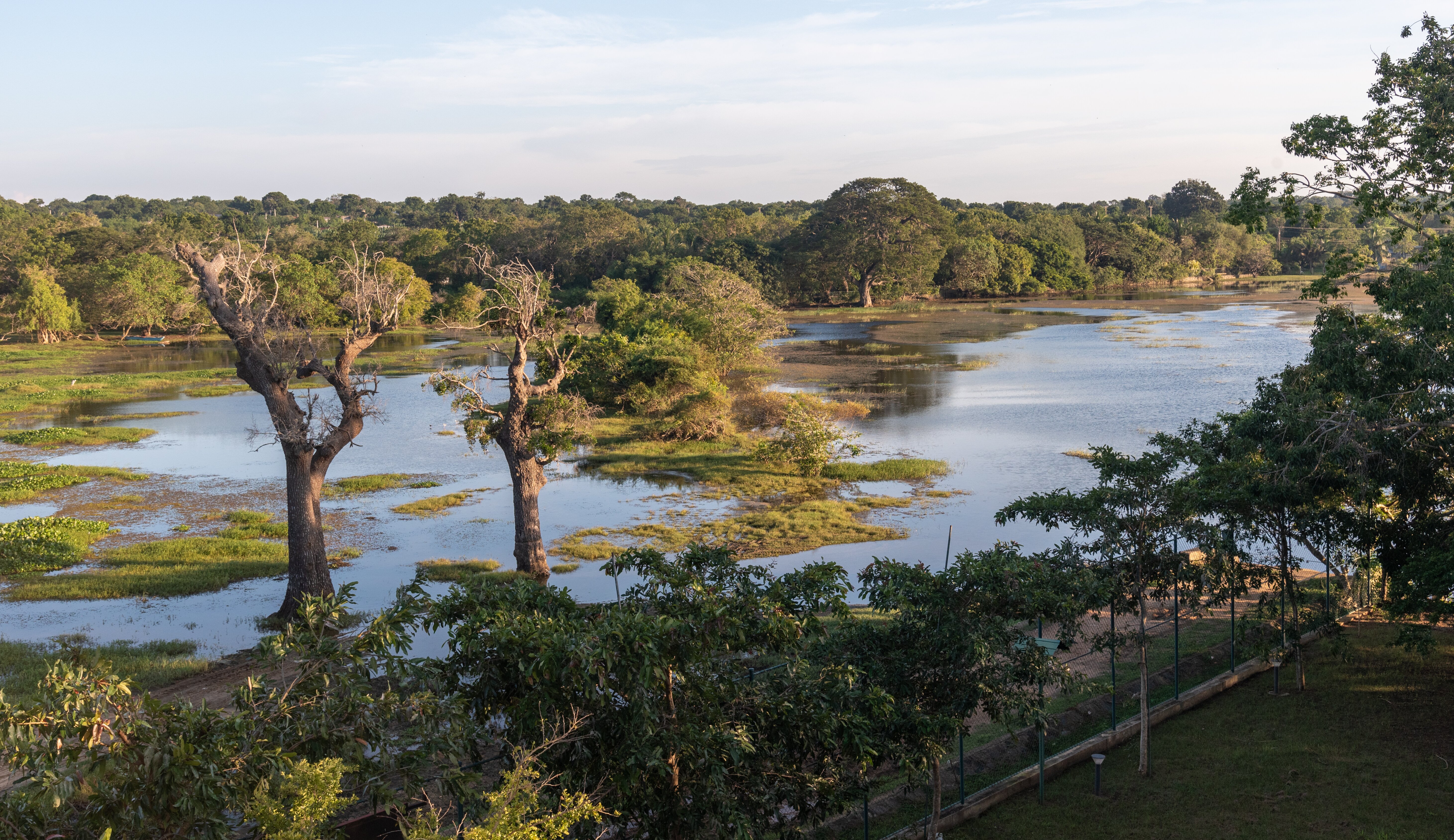 Allure Yala-官方