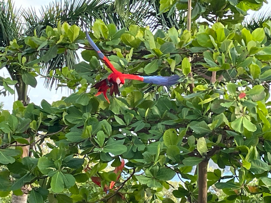 Parador Resort & Spa主图