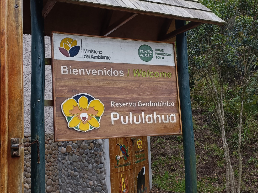 Pululahua Geobotanical Reserve景点图片