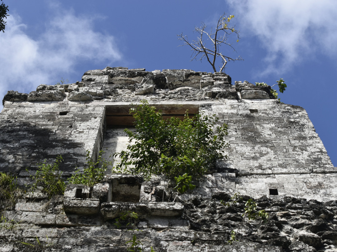 Zona Arqueologica Rio Bec-卡拉克穆尔必去景点