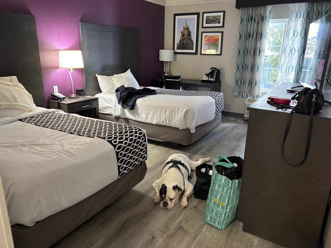 La Quinta Inn & Suites by Wyndham Latham Albany Airport主图