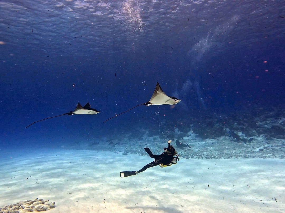 Blue Journeys-哈达哈岛必去景点