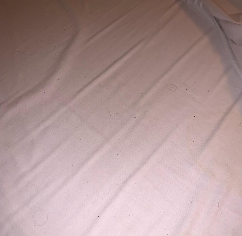 博伊斯城镇普瑞米尔经典酒店主图