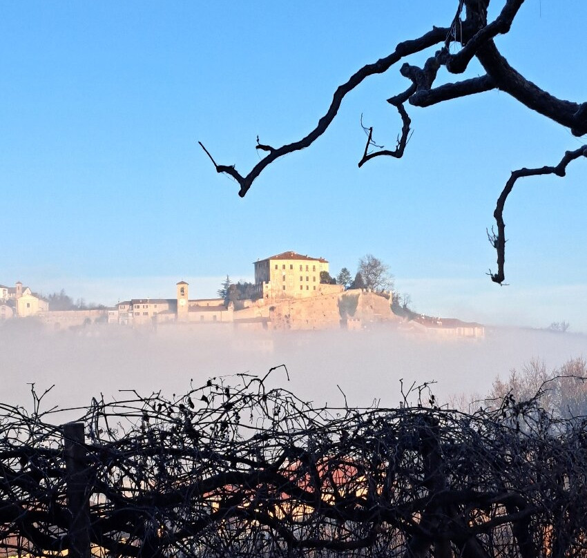 Agriturismo Villa Laura主图