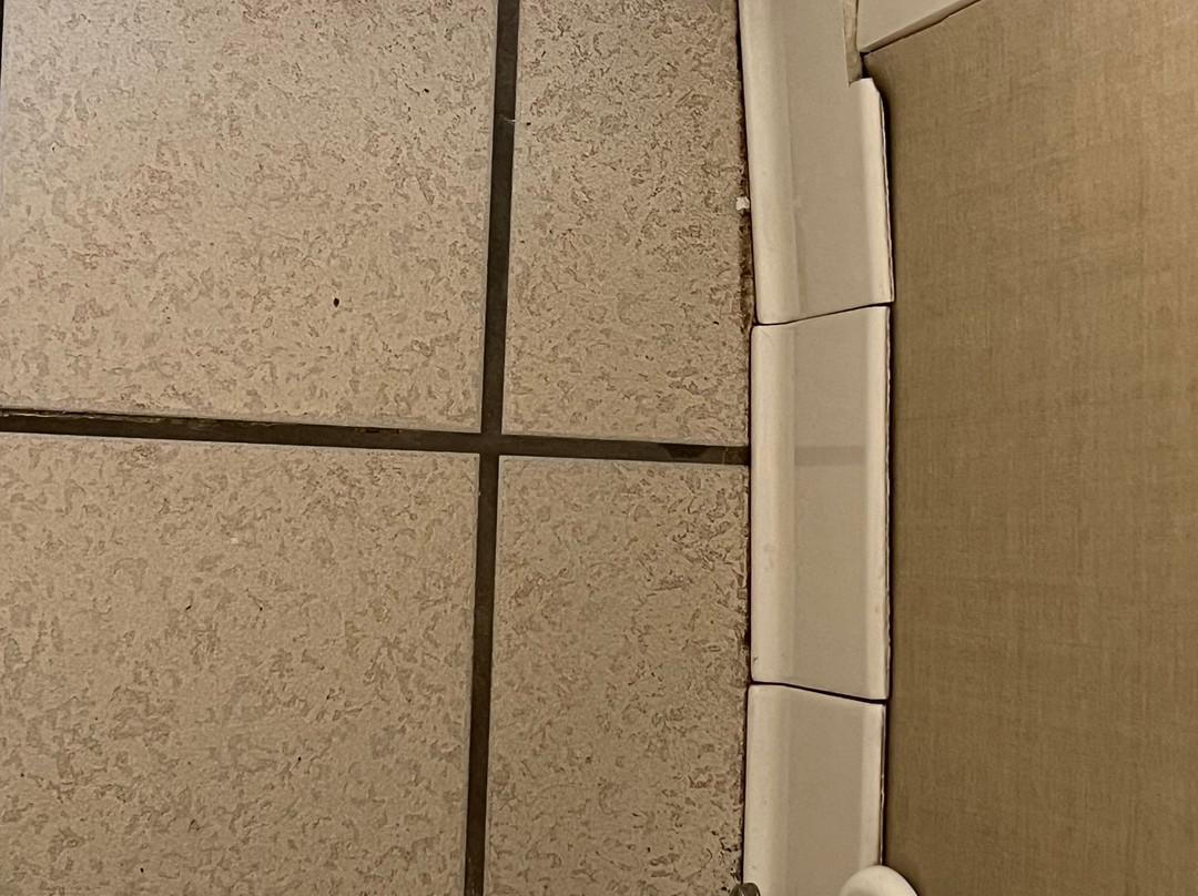 Wyndham Garden Cross Lanes Charleston主图