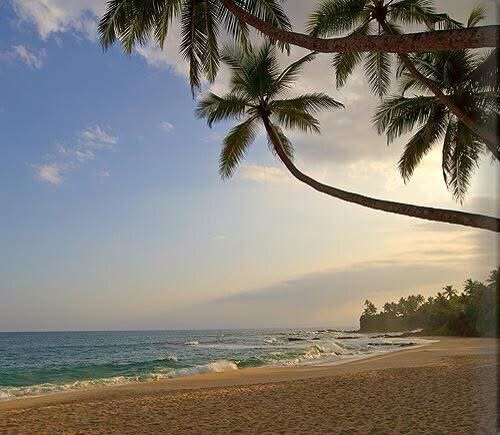 Laseylon Tours-Hambantota必去景点