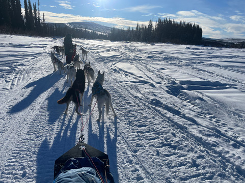 Arctic Dog Adventure Co.-费尔班克斯必去景点