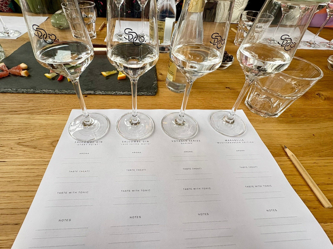 Salcombe Distilling Company-Salcombe必去景点