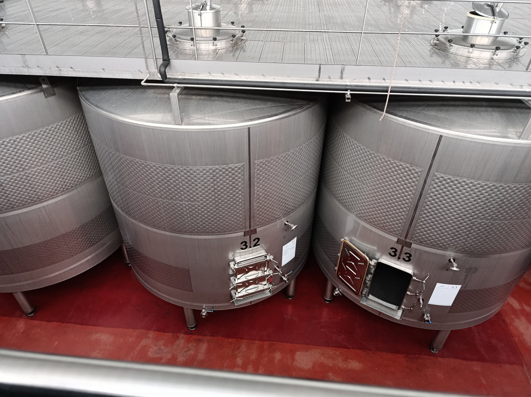 Bodega & Viñedos Martín Berdugo景点图片