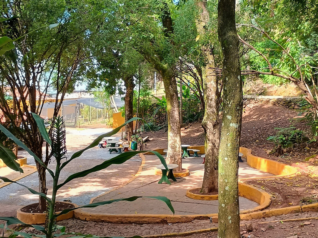 Bosque Municipal De Sábara景点图片