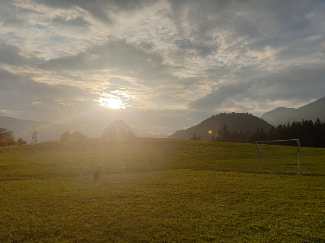 Bio-Bauernhof Eggerhof主图