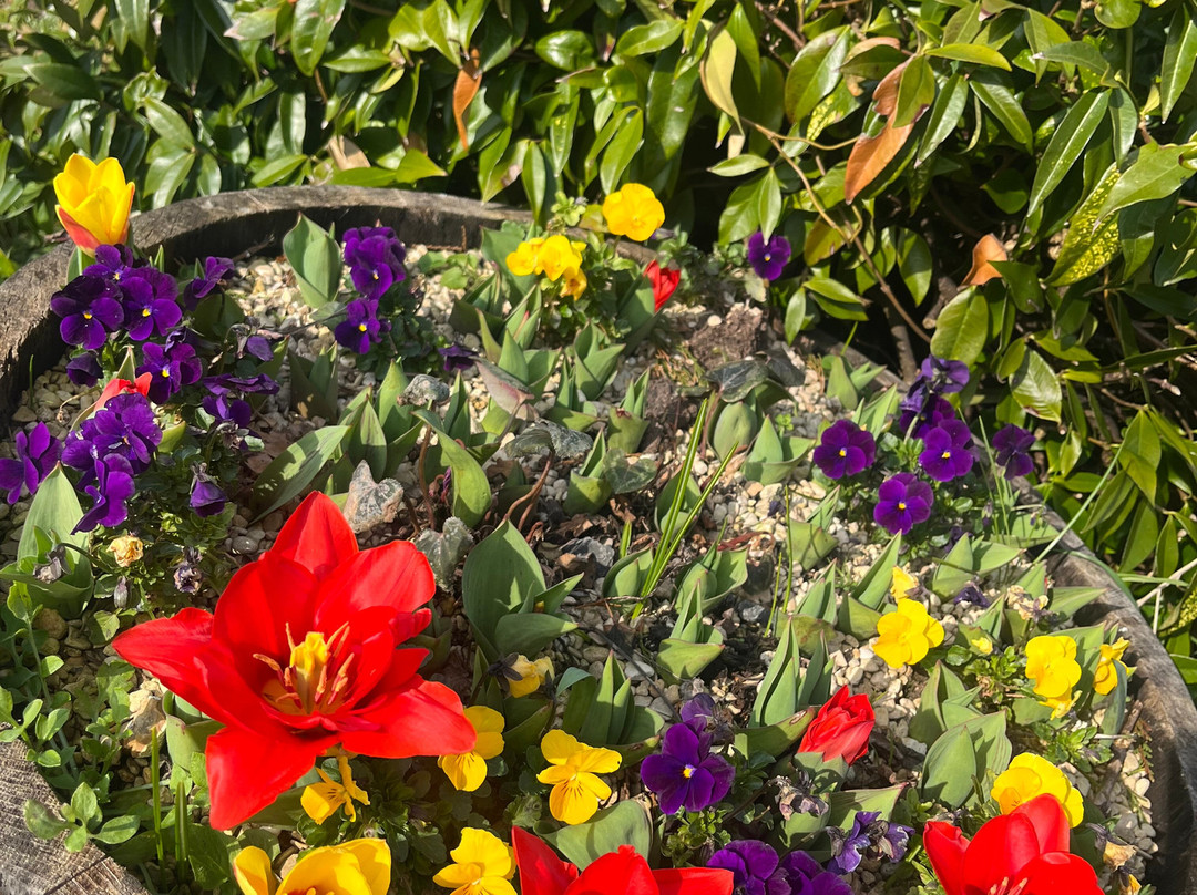 Model Farm Country House主图